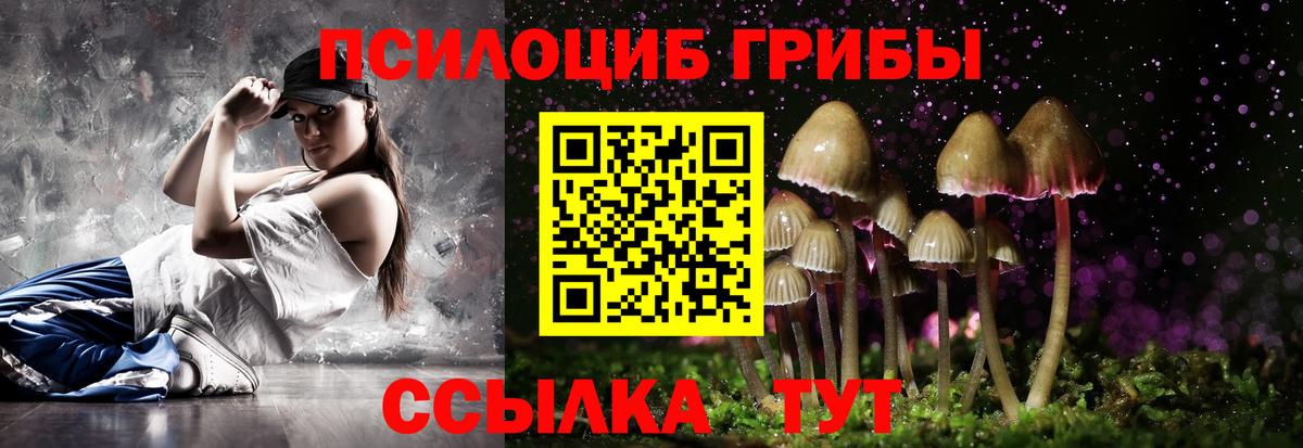 Псилоцибиновые грибы Psilocybe  Вход с VPN  Азов 